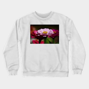 Nature’s Window: The Three Sisters Crewneck Sweatshirt